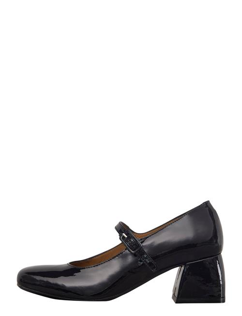 ANGULUS | Shoes - Heel - With Buckle | 42