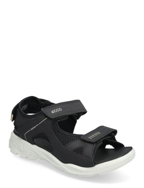 ECCO | Biom Raft | 37