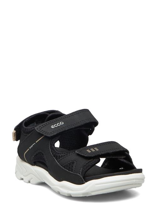 ECCO | Biom Raft | 29