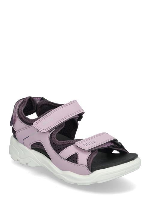 ECCO | Biom Raft | 29