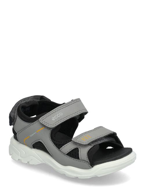 ECCO | Biom Raft | 31