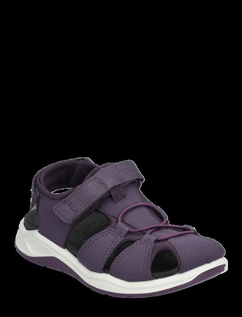 ECCO | X-Trinsic K | 24