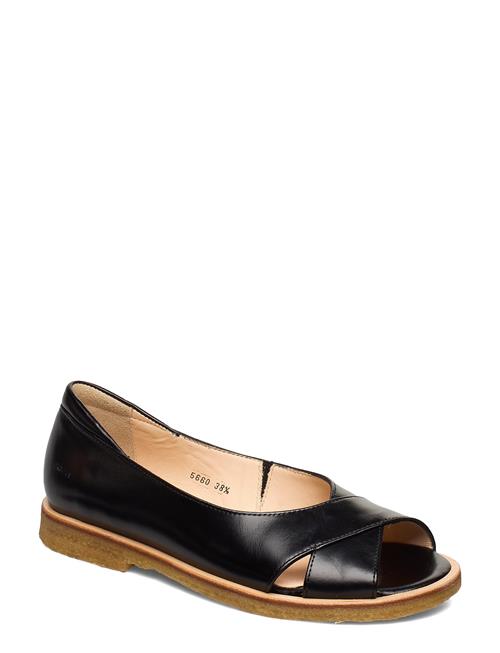 ANGULUS | Sandals - Flat  - Open Toe - Clo | 38