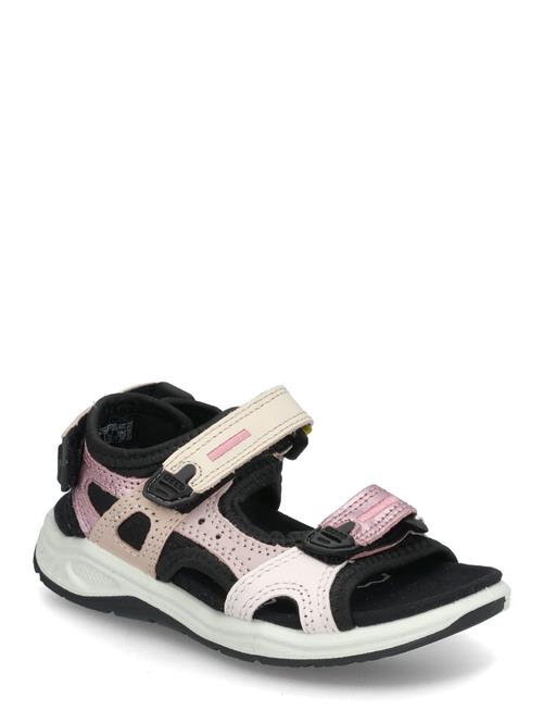 ECCO | X-Trinsic K | 28