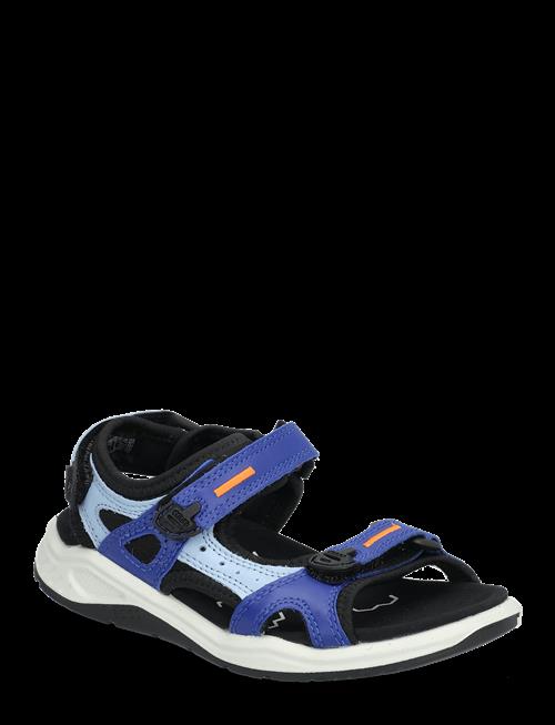 ECCO | X-Trinsic K | 27