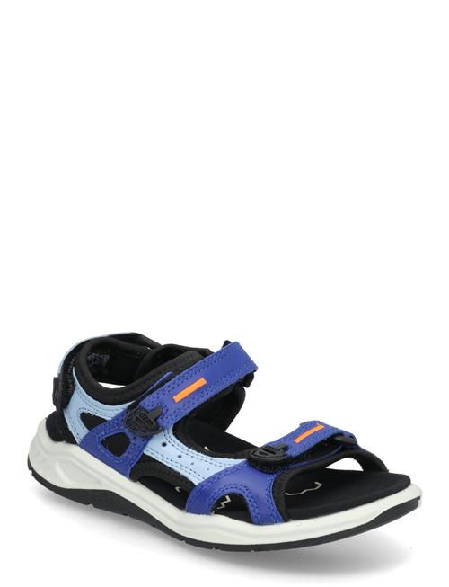 ECCO | X-Trinsic K | 33