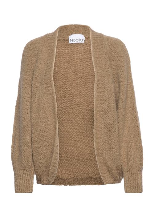 Noella | Fora Knit Cardigan | M-L