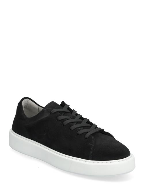 Sneaky Steve | Field U Suede Grey | 40
