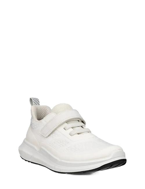 ECCO | Biom 2.2 K | 34