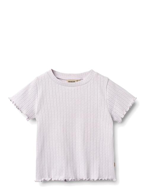 Wheat | Rib T-Shirt S/S Irene | 140