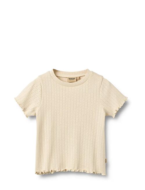 Wheat | Rib T-Shirt S/S Irene | 122