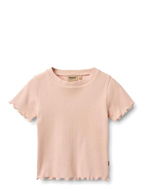 Wheat | Rib T-Shirt S/S Alicia | 122