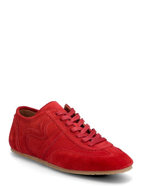 Billi Bi | Sport | 39