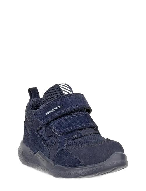 ECCO | Biom 2.2 Infant | 22