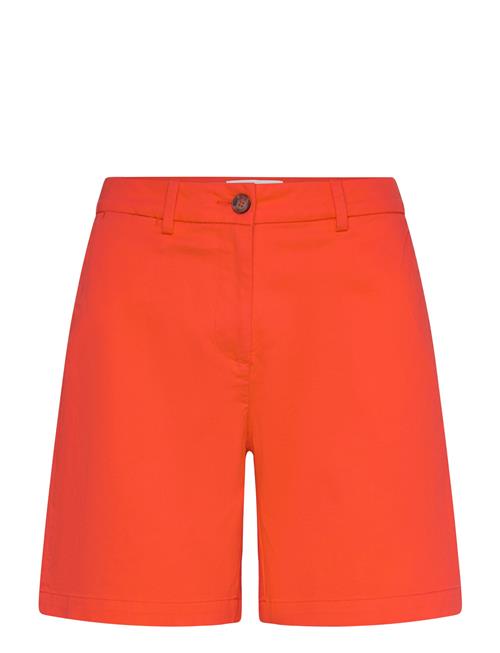 GANT | Chino Shorts | 38
