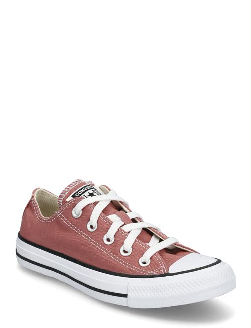Converse | Ctas Ox Light Saddle | 36.5