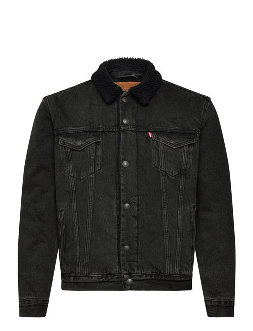 Levi's® | Type 3 Sherpa Trucker Built To | S