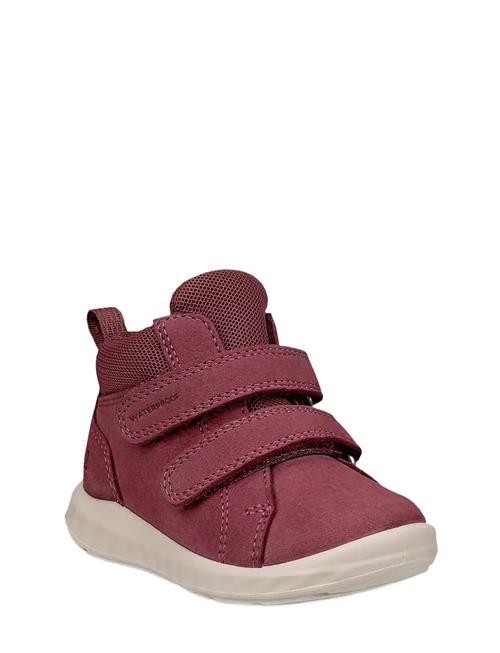 ECCO | Sp.1 Lite Infant | 25