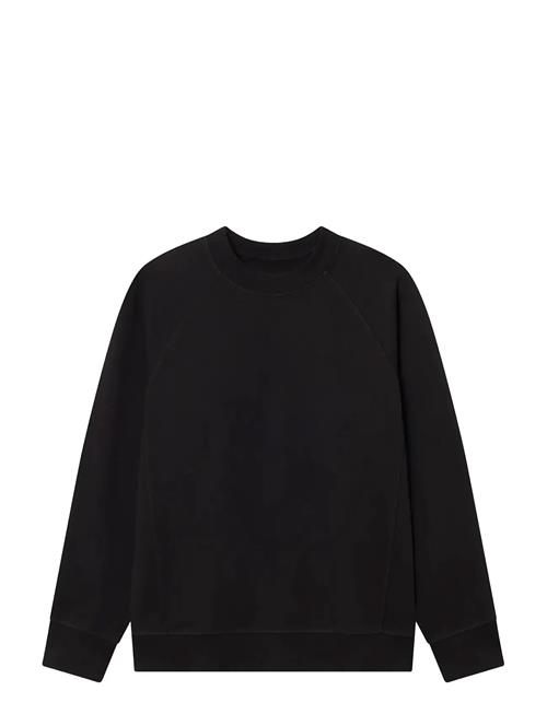 WOOD WOOD | Wwhester Sweatshirt 25217 | L