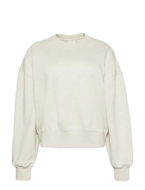 Calvin Klein | A- Logo Emb French Terry Crewnec | L
