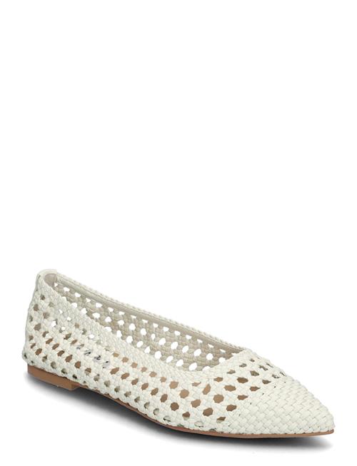 Steve Madden | Saxton Ballerina | 42