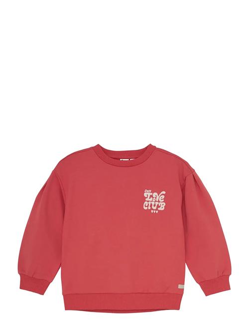 Daily 7 | Sweater Brushed Print | 104