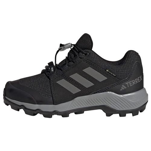 ADIDAS TERREX Lave sko 'GORE-TEX Hiking'  mørkegrå / sort