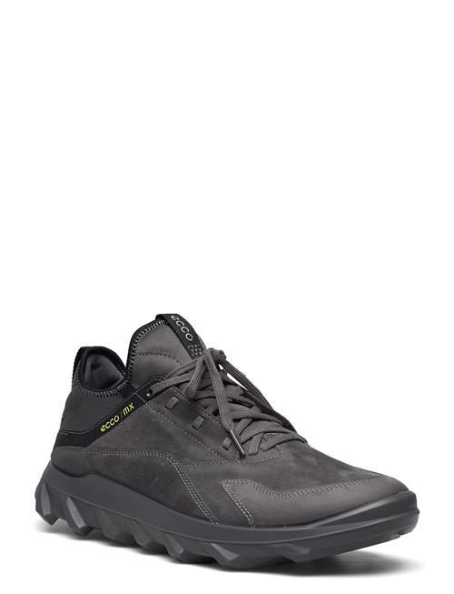 ECCO | Mx M | 44