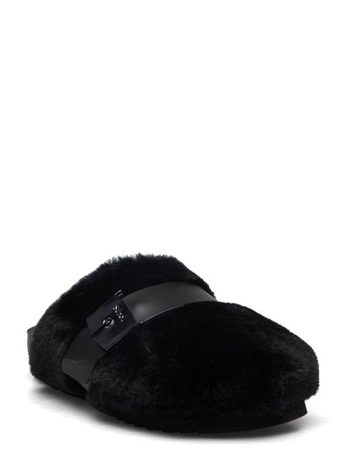 Scholl | Sl Alberta Suede Black | 40