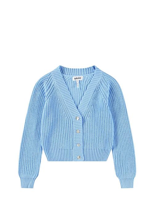 Molo | Gilberta | 98/104