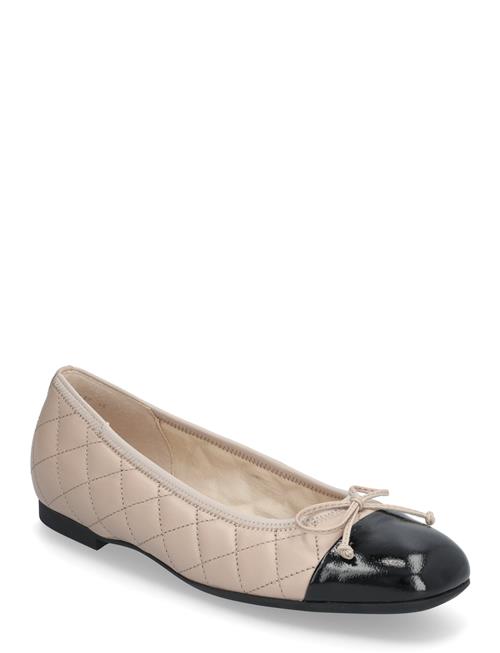 Gabor | Ballerina | 40