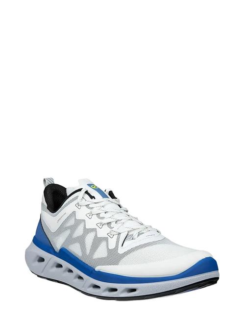 ECCO | Biom 720 M | 42