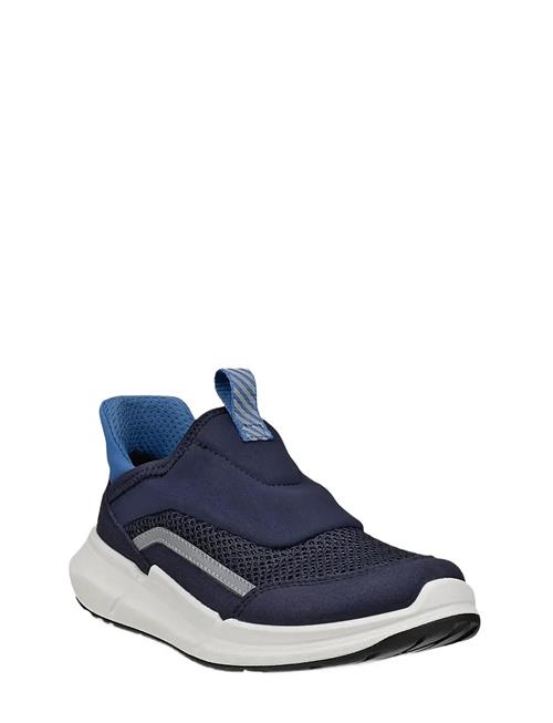 ECCO | Biom 2.2 K | 36
