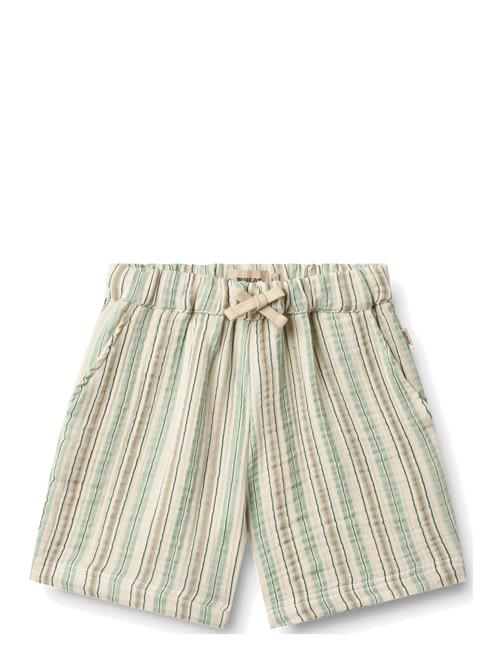 Wheat | Shorts Cuba | 128