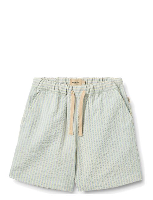 Wheat | Shorts Cuba | 152
