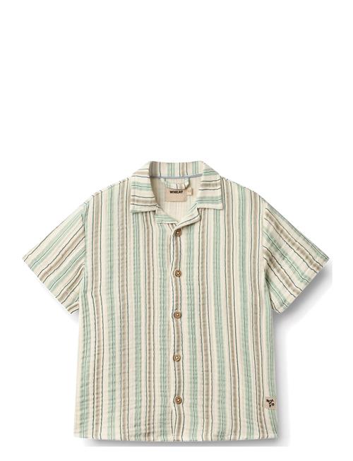 Wheat | Shirt S/S Anker | 116