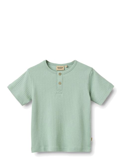 Wheat | T-Shirt S/S Lumi | 98