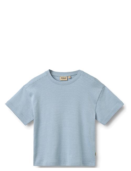 Wheat | T-Shirt S/S Tommy | 116
