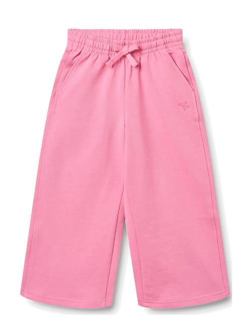 Wheat | Sweatpants Straight Cruz | 122