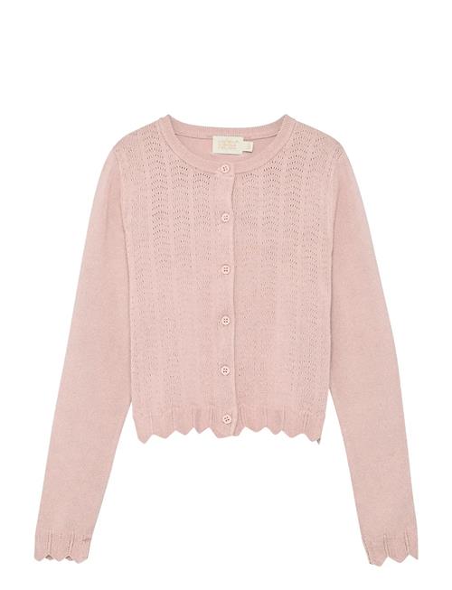 Creamie | Cardigan Pointelle | 140