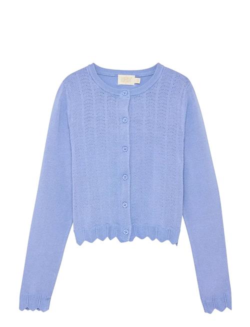 Creamie | Cardigan Pointelle | 122