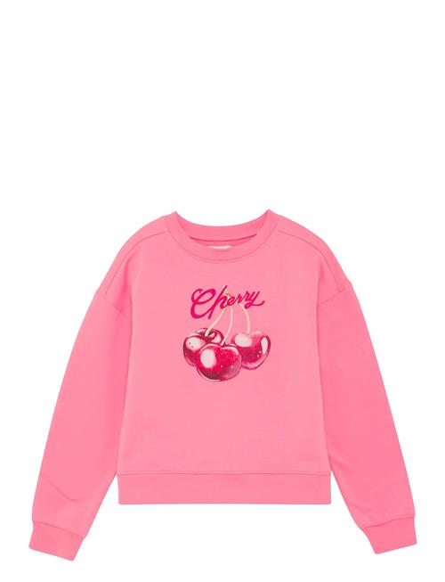 Creamie | Sweatshirt | 116