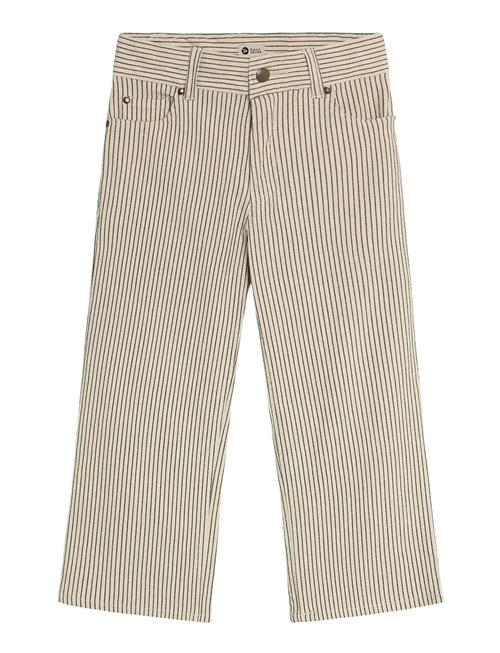 Daily 7 | Straight Fit Small Stripe | 98