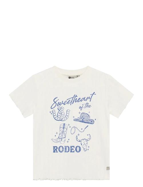 Daily 7 | T-Shirt Artwork | 104