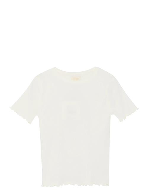 Creamie | T-Shirt Ss Modal | 128