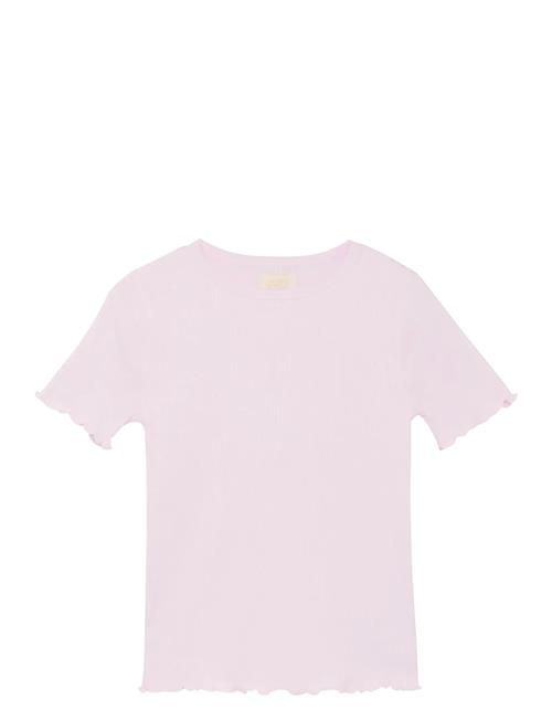 Creamie | T-Shirt Ss Modal | 134