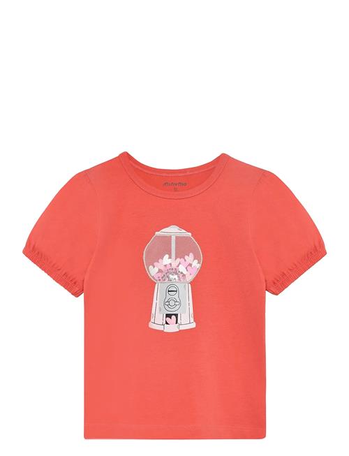 Minymo | T-Shirt Ss | 116
