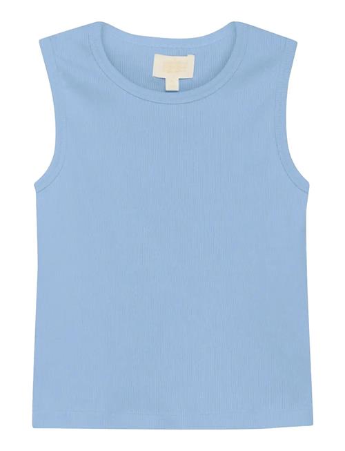 Creamie | Top Rib | 122