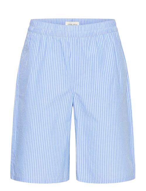 Casual Friday | Cfjaevon 0273 Striped Shorts | XXL