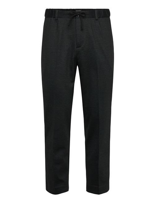 Scotch & Soda | Finch Yarndyed Jersey Regular Taperedfit Jogger | 30 x 32